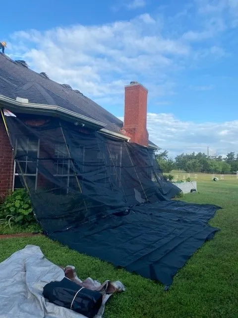 Black mesh netting draped over a brick house, with a small dog lying on a blanket in the foreground.
